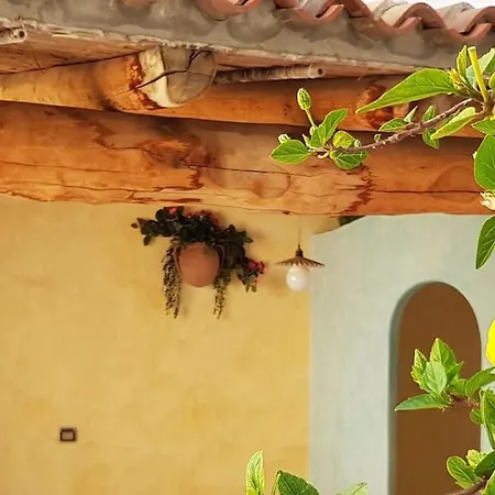Corte Jasmin - Surfinia -